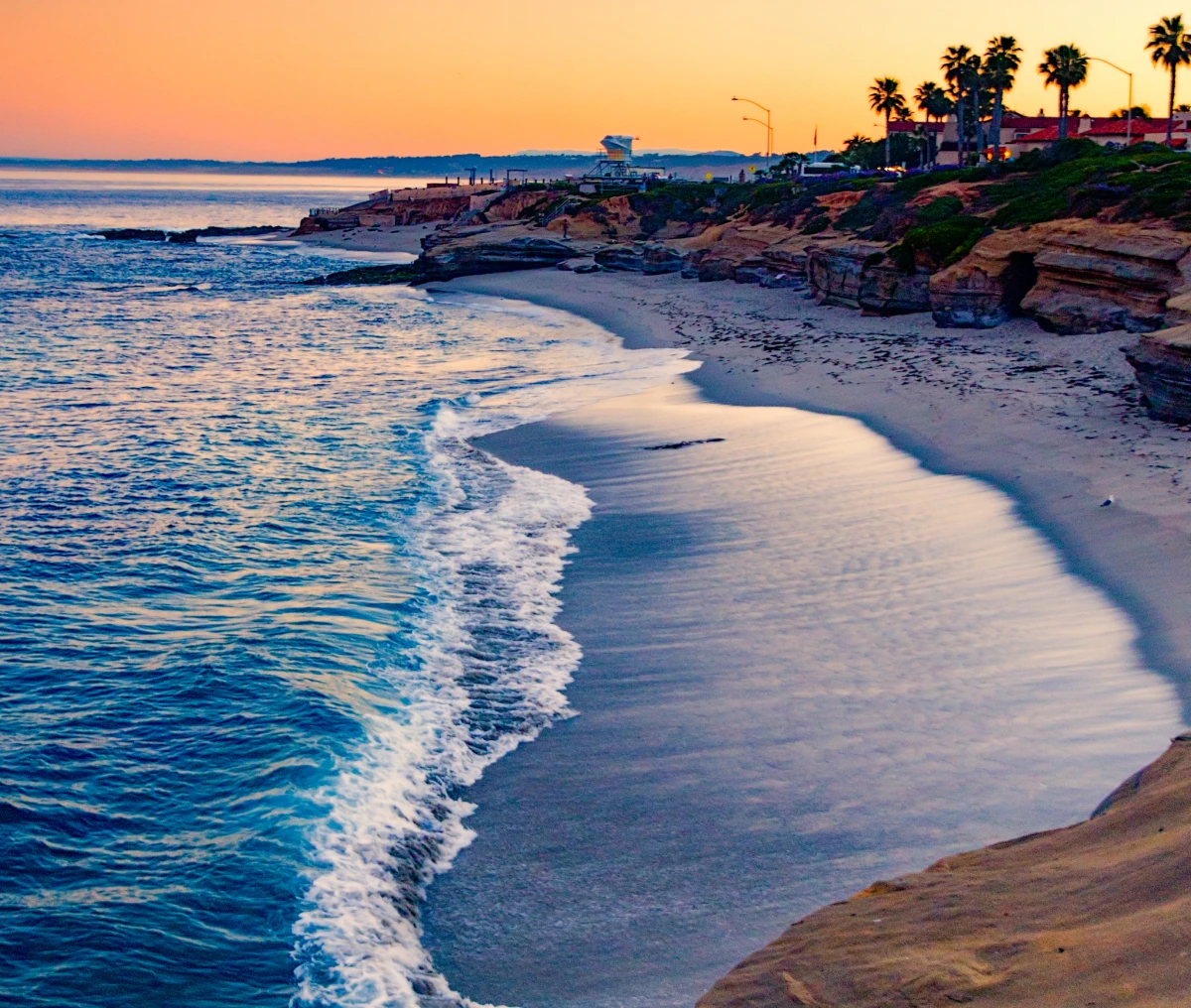 Beach sunset with palm trees